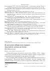 Научная статья на тему 'К экологии сибирского вьюрка Leucosticte arctoa на Алтае'