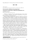 Научная статья на тему 'К экологии сибирской завирушки Prunella montanella в Южном Прибайкалье'