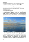 Научная статья на тему 'К зимней орнитофауне озера Иссык-Куль'