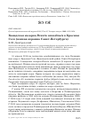 Научная статья на тему 'Канадская казарка Branta canadensis в Красном Селе (Южная окраина Санкт-Петербурга)'