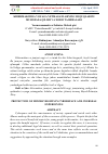 Научная статья на тему 'KIBERMAKONDA VOYAGA YETMAGANLARNING HUQUQLARINI MUHOFAZA QILISH VA XORIJ TAJRIBALARI'