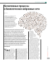 Научная статья на тему 'Когнитивные процессы и биологические нейронные сети'