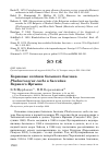 Научная статья на тему 'Кормовые кочёвки большого баклана Phalacrocorax carbo в бассейне верхнего Иртыша'