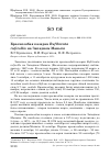 Научная статья на тему 'Краснозобая казарка Rufibrenta ruficollis на Западном Маныче'