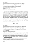 Научная статья на тему 'Краснозобая казарка Rufibrenta ruficollis в Тенгиз-Кургальджинской впадине (Центральный Казахстан)'