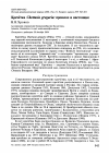 Научная статья на тему 'Кречётка Chettusia gregaria: прошлое и настоящее'