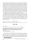 Научная статья на тему 'Кряквы Anas platyrhynchos и окуни Perca fluviatilis: случаи сопряжённой охоты'