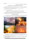 Научная статья на тему 'Лесной пожар - глобальная проблема XXI века'