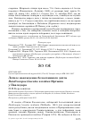 Научная статья на тему 'Летнее нахождение белоспинного дятла Dendrocopos leucotos в пойме Иртыша у Павлодара'