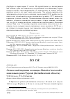 Научная статья на тему 'Летние наблюдения колпицы Platalea leucorodia в низовьях реки Тургай (Актюбинской область)'