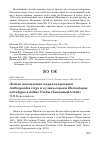 Научная статья на тему 'Летние нахождения журавля-красавки Anthropoides virgo и кулика-сороки Haematopus ostralegus в пойме Ульбы (Западный Алтай)'