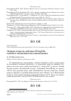 Научная статья на тему 'Летняя встреча зяблика Fringilla coelebs в Алматинском заповеднике'
