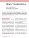 Научная статья на тему 'Ligands of acid-sensing ion channel 1a: mechanisms of action and binding sites'