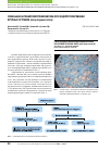 Научная статья на тему 'Локальная антибиотикопрофилактика при эндопротезировании крупных суставов (литературный обзор)'