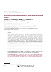 Научная статья на тему 'Макрофаги при бактериальных болезнях легких: фенотип и функции (обзор)'