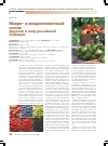 Научная статья на тему 'Макрои микроэлементный состав фруктов и ягод российской селекции'