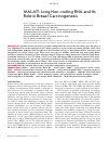 Научная статья на тему 'MALAT1 Long Non-coding RNA and Its Role in Breast Carcinogenesis'