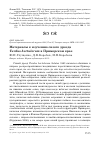 Научная статья на тему 'Материалы к изучению сизого дрозда Turdus hortulorum в Приморском крае'