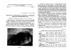 Научная статья на тему 'Материалы к морфологии, биологии и промыслу ондатры в мордовской АССР'