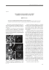 Научная статья на тему 'Механизмы деформации и разрушения нанокристаллических материалов'