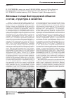 Научная статья на тему 'Меловые толщи Белгородской области: состав, структура и свойства'