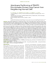 Научная статья на тему 'Membrane Partitioning of TEMPO Discriminates Human Lung Cancer from Neighboring Normal Cells'