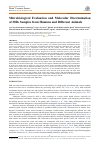 Научная статья на тему 'Microbiological Evaluation and Molecular Discrimination of Milk Samples from Humans and Different Animals'