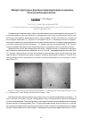 Научная статья на тему 'Микроструктура и фазовые переходы воды по данным оптической микроскопии'