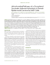 Научная статья на тему 'MITOCHONDRIAL PATHWAY OF α-TOCOPHERYL SUCCINATE-INDUCED APOPTOSIS IN HUMAN EPIDERMOID CARCINOMA A431 CELLS'