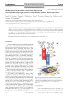 Научная статья на тему 'Многослойные фотовольтаические структуры на основе гетероперехода тетратиадиазолопорфиразин/ субфталоцианин'