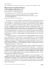 Научная статья на тему 'Могильник Aquila heliaca в Челябинской области'