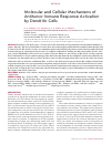 Научная статья на тему 'Molecular and cellular mechanisms of antitumor immune response activation by dendritic cells'