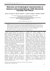 Научная статья на тему 'Molecular and morphological characterisation of Syphacia petrusewiczi Bernard, 1966 (Nematoda, Oxyurida) from Russia'