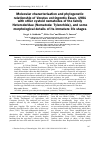 Научная статья на тему 'Molecular characterisation and phylogenetic relationship of Verutus volvingentis Esser, 1981 with other cystoid nematodes of the family Heteroderidae (Nematoda: Tylenchida), and some morphological details of its immature life stages'