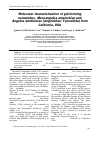 Научная статья на тему 'Molecular characterisation of gall-forming nematodes, Mesoanguina amsinckiae and Anguina danthoniae (Anguinidae: Tylenchida) from California, USA'