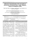 Научная статья на тему 'Molecular characterisation of the new strain of Steinernema vulcanicum Clausi, Longo, Rappazzo, Tarasco & Vinciguerra, 2011'
