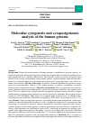 Научная статья на тему 'MOLECULAR CYTOGENETIC AND CYTOPOSTGENOMIC ANALYSIS OF THE HUMAN GENOME'