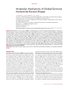 Научная статья на тему 'Molecular mechanism of global genome nucleotide excision repair'