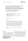 Научная статья на тему 'MOLECULAR PHYLOGENY OF PARADERMAMOEBA VALAMO (AMOEBOZOA, DISCOSEA, DERMAMOEBIDA)'