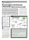 Научная статья на тему 'Молекулярно-генетические технологии защиты от патогенов'