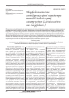 Научная статья на тему 'Морфобиологические и хозяйственно-ценные параметры типичной модели сорта салата Ромэн (Lactuca: sativa var. Longifolia L. )'