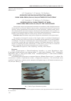 Научная статья на тему 'Морфологическая характеристика рыбца vimba vimbа persa (Pallas, 1814) каспийского бассейна'