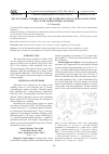 Научная статья на тему 'Морфология дейтонимфы водяного клеща Piona stjördalensis (Thor, 1897) (Acari, Hydrachnidia, Pionidae)'