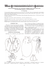 Научная статья на тему 'Морфология личинки Unionicola markovensis Tuzovskij, 1990 (Acari, Hydrachnidia, Unionicolidae)'
