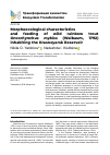 Научная статья на тему 'MORPHOECOLOGICAL CHARACTERISTICS AND FEEDING OF WILD RAINBOW TROUT ONCORHYNCHUS MYKISS (WALBAUM, 1792) INHABITING THE KRASNOYARSK RESERVOIR'