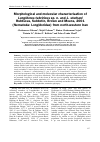 Научная статья на тему 'Morphological and molecular characterisation of Longidorus tabrizicus sp. n. and L. sturhani Rubtsova, Subbotin, Brown and Moens, 2001 (Nematoda: Longidoridae) from north-western Iran'