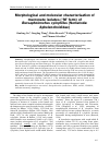 Научная статья на тему 'Morphological and molecular characterisation of mucronate isolates (‘M’ form) of Bursaphelenchus xylophilus (Nematoda: Aphelenchoididae)'