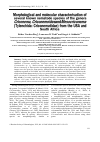 Научная статья на тему 'Morphological and molecular characterisation of several known nematode species of the genera Criconema, Criconemoides and Mesocriconema (Tylenchida: Criconematidae) from the USA and South Africa'