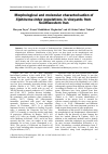 Научная статья на тему 'Morphological and molecular characterisation of Xiphinema index populations in vineyards from Southwestern Iran'