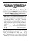 Научная статья на тему 'Morphological and molecular observations on the cereal cyst nematode Heterodera filipjevi from the Middle Volga River and South Ural Regions of Russia'